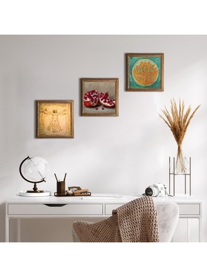 Pinecone Stone Lotus Çiçeği, Leonardo da Vinci Vitruvius Adamı, Nar Ahşap Çerçeveli Taş Duvar Tablosu 3’lü Set – 25x25 cm Dekoratif Modern Sanat – Ev ve Ofis Dekoru |W3-1377|