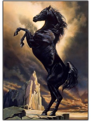 Tablo Dekor Şaha Kalkan At Kanvas Tablo