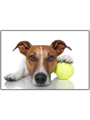 Tablo Dekor Tenis Topunu Tutan Kahverengi Köpek Kanvas Tablo