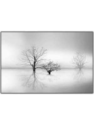 Tablo Dekor Siyah Beyaz Ağaç Deniz ve Gölgeler Kanvas Tablo
