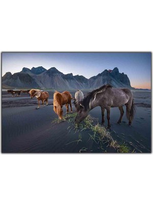 Tablo Dekor Siyah ve Kahverengi Atlar Kanvas Tablo