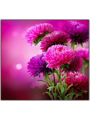 Tablo Dekor Pembe Krizantem Çiçeği Kanvas Tablo