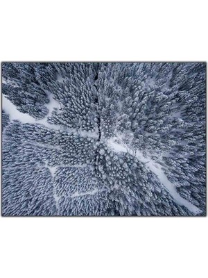 Tablo Dekor Kuş Bakışı Karlı Orman Manzarası ve Patika Yol Kanvas Tablo