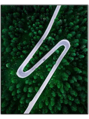 Tablo Dekor Kuş Bakışı Orman ve Otoyol Kanvas Tablo