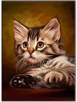 Tablo Dekor Sarı Gözlü Yavru Tekir Kedi Kanvas Tablo