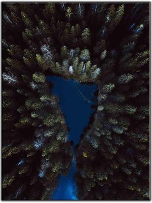 Tablo Dekor Kuş Bakışı Çam Ağaçların Arasındaki Göl Kanvas Tablo