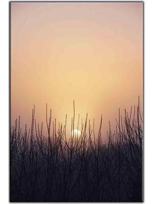 Tablo Dekor Otların Arkasındaki Gün Batımı Kanvas Tablo