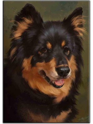 Tablo Dekor Finn Lapphund Köpek Kanvas Tablo