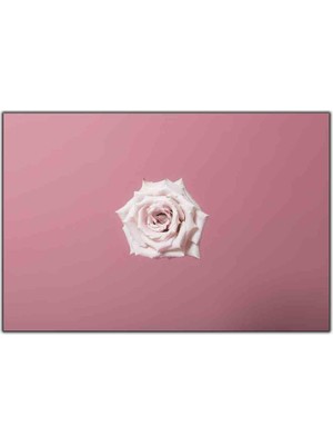 Tablo Dekor Beyaz Gül Kanvas Tablo