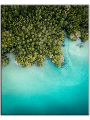 Tablo Dekor Deniz Kenarındaki Ağaçlı Ada Kanvas Tablo