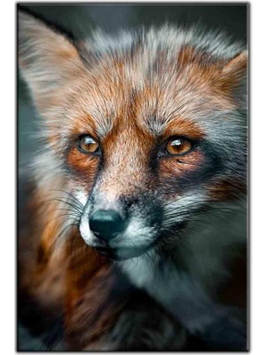 Tablo Dekor Kahverengi Gözlü Tilki Kanvas Tablo