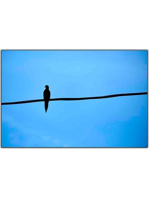Tablo Dekor Daldaki Yalnız Kuş Kanvas Tablo