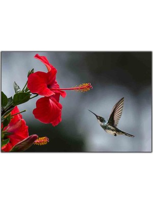 Tablo Dekor Kırmızı Çiçeğe Konmaya Çalışan Yavru Kuş Kanvas Tablo