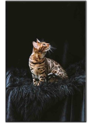 Tablo Dekor Leopar Desenli Kedi Kanvas Tablo