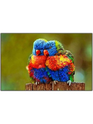 Tablo Dekor Turuncu ve Mavi Tüyle Tropikal Kuşlar