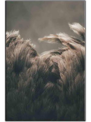 Tablo Dekor Uçuşan Beyaz Tüyler Kanvas Tablo