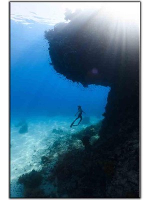 Tablo Dekor Denizin Dibindeki Kayalıklara Ulaşan Dalgıç Kanvas Tablo