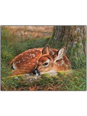 Tablo Dekor Ağacın Altında Yatan Küçük Ceylan Yağlı Boya Dokulu Tablo