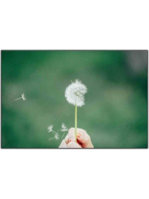 Tablo Dekor Uçmaya Hazırlanan Karahindiba Tohumu Kanvas Tablo