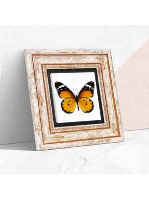 Pinecone Stone Kelebek Çerçeveli Taş Duvar Tablosu – Dekoratif Modern Sanat, Ev ve Ofis Dekoru |TK1-217|