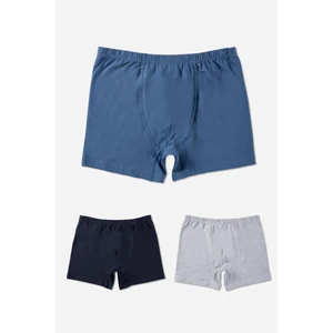 Erkek Çocuk Pamuklu Baskılı Rahat Kesim Likralı Boxer 3'lü Paket Renkli