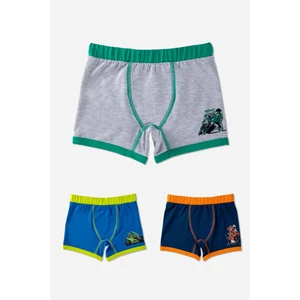 Erkek Çocuk Pamuklu Baskılı Rahat Kesim Likralı Boxer 3'lü Paket Renkli