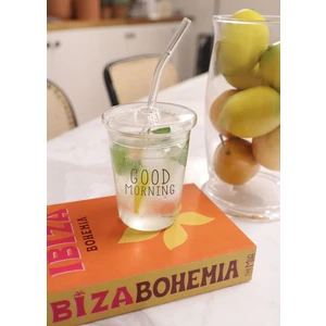 The Mia Borosilikat Kapaklı ve Pipetli Cam Bardak 300 ml