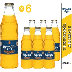 Turunç Aromalı Gazoz 6x 250 ml