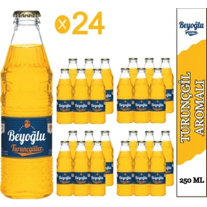 Turunç Aromalı Gazoz 24x 250 ml