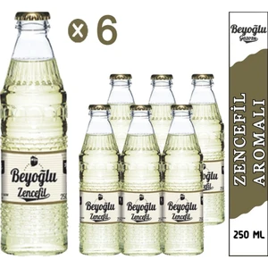 Zencefilli Gazoz 6x 250 ml