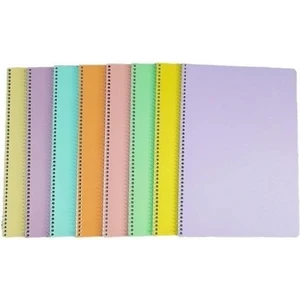 Flex Pastel 60 Yaprak A4 Pp Kapak Spiralli Defter (2 Adet Çizgili- 2 Adet Kareli)