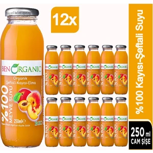 Ben Organic Şeftali Kayısı Elma Suyu 12 x 250 ml