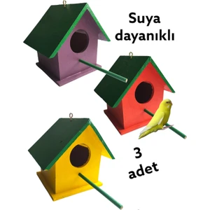 Değerli Hobi Ahşap Kuş Yuvası Renkli Vernikli Dış Mekan Suya Dayanıklı 3 Adet