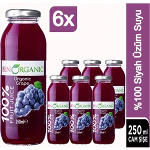Ben Organic Siyah Üzüm Suyu 6 x 250 ml