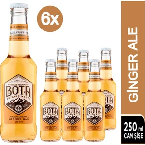 Ginger Ale Original Recipe Tonic 6 x 250 ml