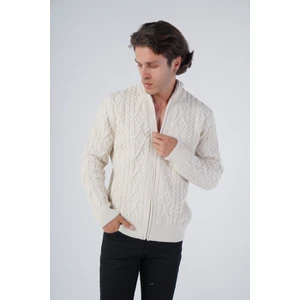 Trist Star Erkek Bej Arka Fitilli Dik Yaka Fermuarlı Triko Yün Hırka TRIST-5299