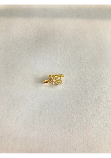 14 Ayar Altın Taşlı Küpe OZDTASLI086GR