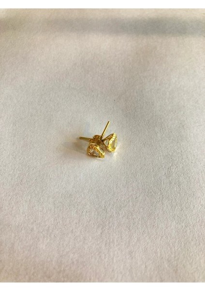 14 Ayar Altın Taşlı Küpe OZDTASLI117GR