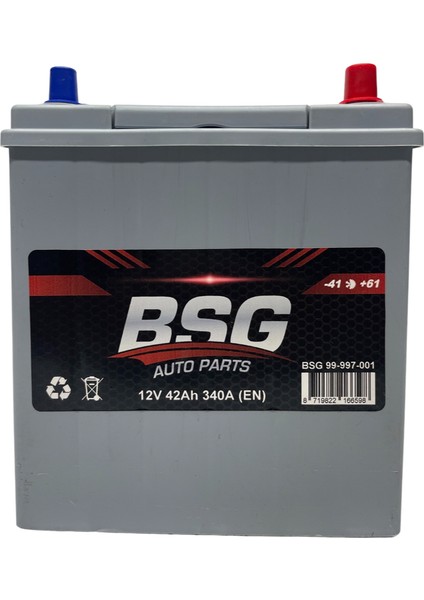 Akü Bsg 12V 42 Ah NS40 Düz Ince Smf Ind Sulu 197X129X227