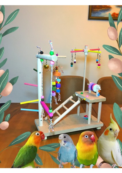 Renkli Kuş Oyun Parkuru