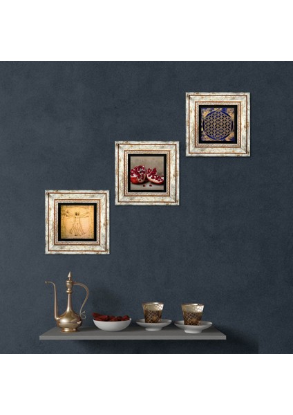 Yaşam Çiçeği, Leonardo da Vinci Vitruvius Adamı, Nar Çerçeveli Taş Duvar Tablosu 3’lü Set - Dekoratif Modern Sanat, Ev ve Ofis Dekoru |TK3-1367|