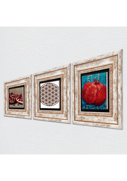 Yaşam Çiçeği, Nar Çerçeveli Taş Duvar Tablosu 3’lü Set - Dekoratif Modern Sanat, Ev ve Ofis Dekoru |TK3-818| fiyatları