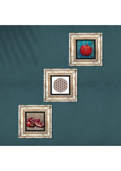 Yaşam Çiçeği, Nar Çerçeveli Taş Duvar Tablosu 3’lü Set - Dekoratif Modern Sanat, Ev ve Ofis Dekoru |TK3-818| fırsatları