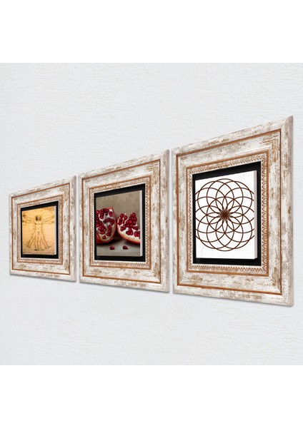 Yaşam Çiçeği, Leonardo da Vinci Vitruvius Adamı, Nar Taş Duvar Tablosu Çerçeveli Duvar Dekoru 3 Parça Tablo Seti Wall Art T3-1370