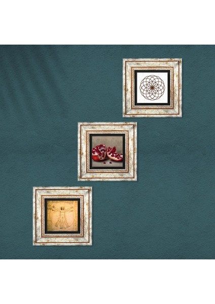 Yaşam Çiçeği, Leonardo da Vinci Vitruvius Adamı, Nar Taş Duvar Tablosu Çerçeveli Duvar Dekoru 3 Parça Tablo Seti Wall Art T3-1370