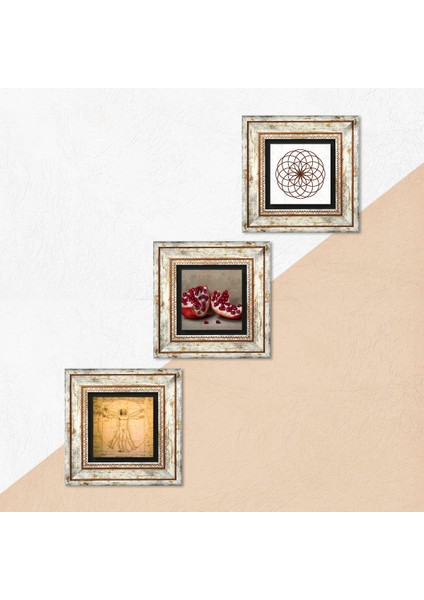 Yaşam Çiçeği, Leonardo da Vinci Vitruvius Adamı, Nar Taş Duvar Tablosu Çerçeveli Duvar Dekoru 3 Parça Tablo Seti Wall Art T3-1370