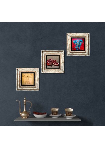 Fil, Leonardo da Vinci Vitruvius Adamı, Nar Taş Duvar Tablosu Çerçeveli Duvar Dekoru 3 Parça Tablo Seti Wall Art T3-1382
