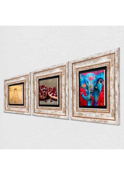 Fil, Leonardo da Vinci Vitruvius Adamı, Nar Taş Duvar Tablosu Çerçeveli Duvar Dekoru 3 Parça Tablo Seti Wall Art T3-1382