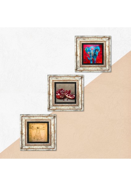 Fil, Leonardo da Vinci Vitruvius Adamı, Nar Taş Duvar Tablosu Çerçeveli Duvar Dekoru 3 Parça Tablo Seti Wall Art T3-1382