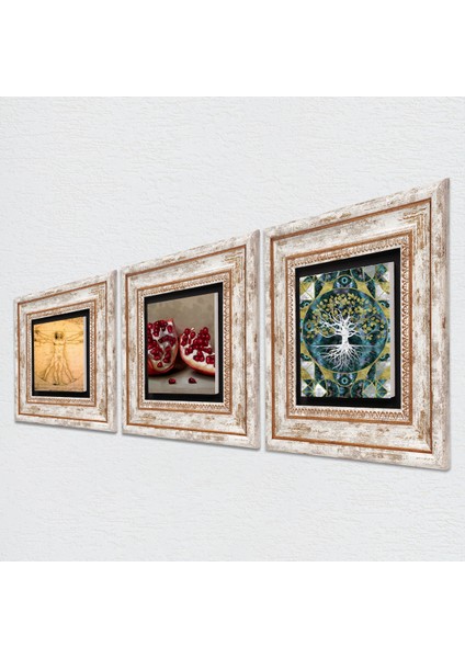 Stone Hayat Ağacı, Leonardo da Vinci Vitruvius Adamı, Nar Çerçeveli Taş Duvar Tablosu 3’lü Set - Dekoratif Modern Sanat, Ev ve Ofis Dekoru |TK3-1386| fiyatları